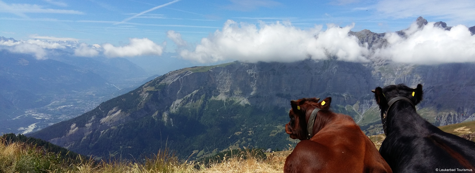 Sommersaison Torrent